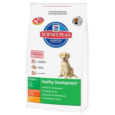 Hill's Canine Puppy Large Breed Chicken 11kg