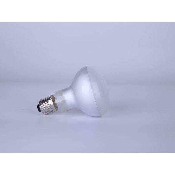 Mclan Zoo Bulb day light R80 100W