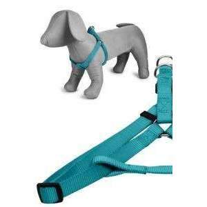 Papillon Nylon Harness, 15 mm x 35-60 cm, Turquoise