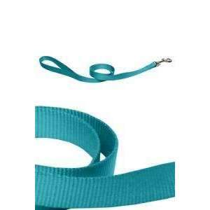 Papillon Nylon Lead, 10 mm x 120 cm, Turquoise